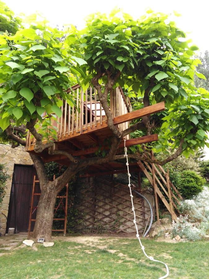 Six Steps From The Forest Zigos  외부 사진